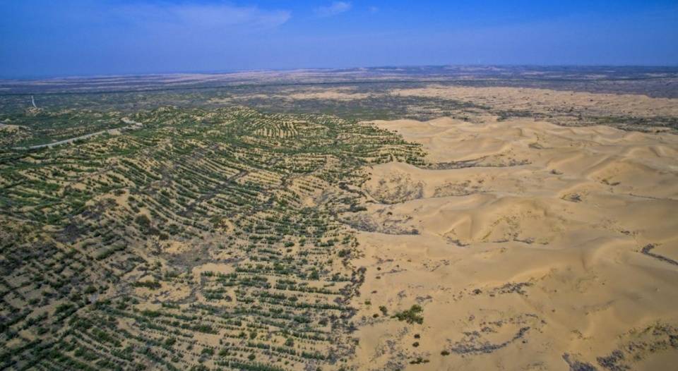 原创中国将草方格升级彻底解决沙漠荒漠化外过网友惊叹中国魔方