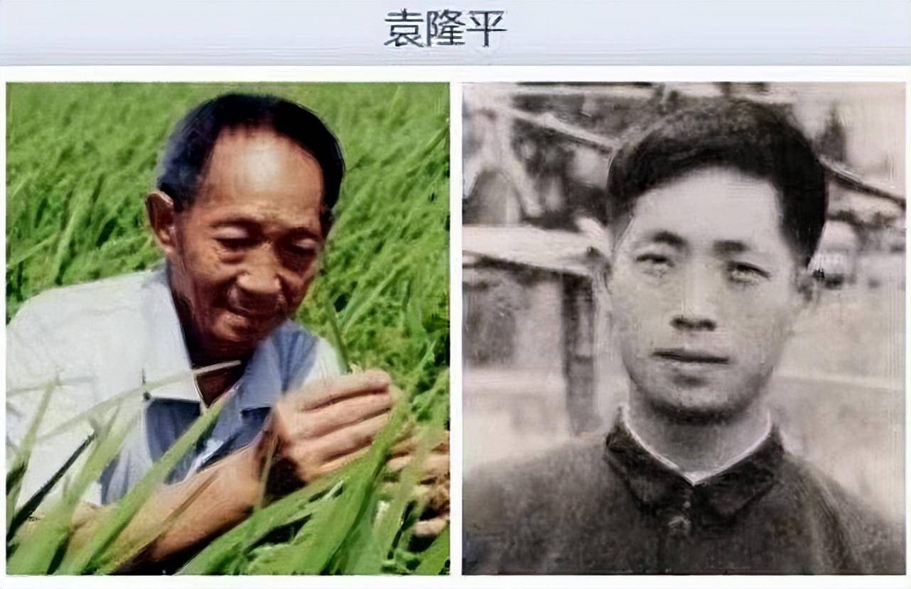 孩子这天放学之后,就和我谈起了关于袁隆平的事情