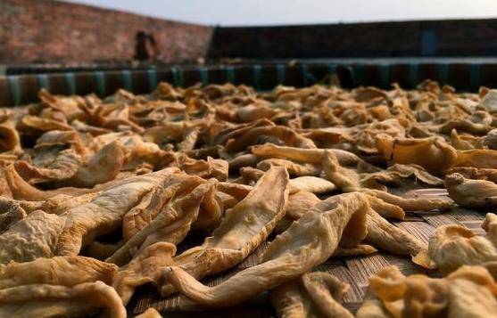 这5种蔬菜晒干之后,比新鲜的还好吃 这5种蔬菜晒干之后,比新鲜的还好吃