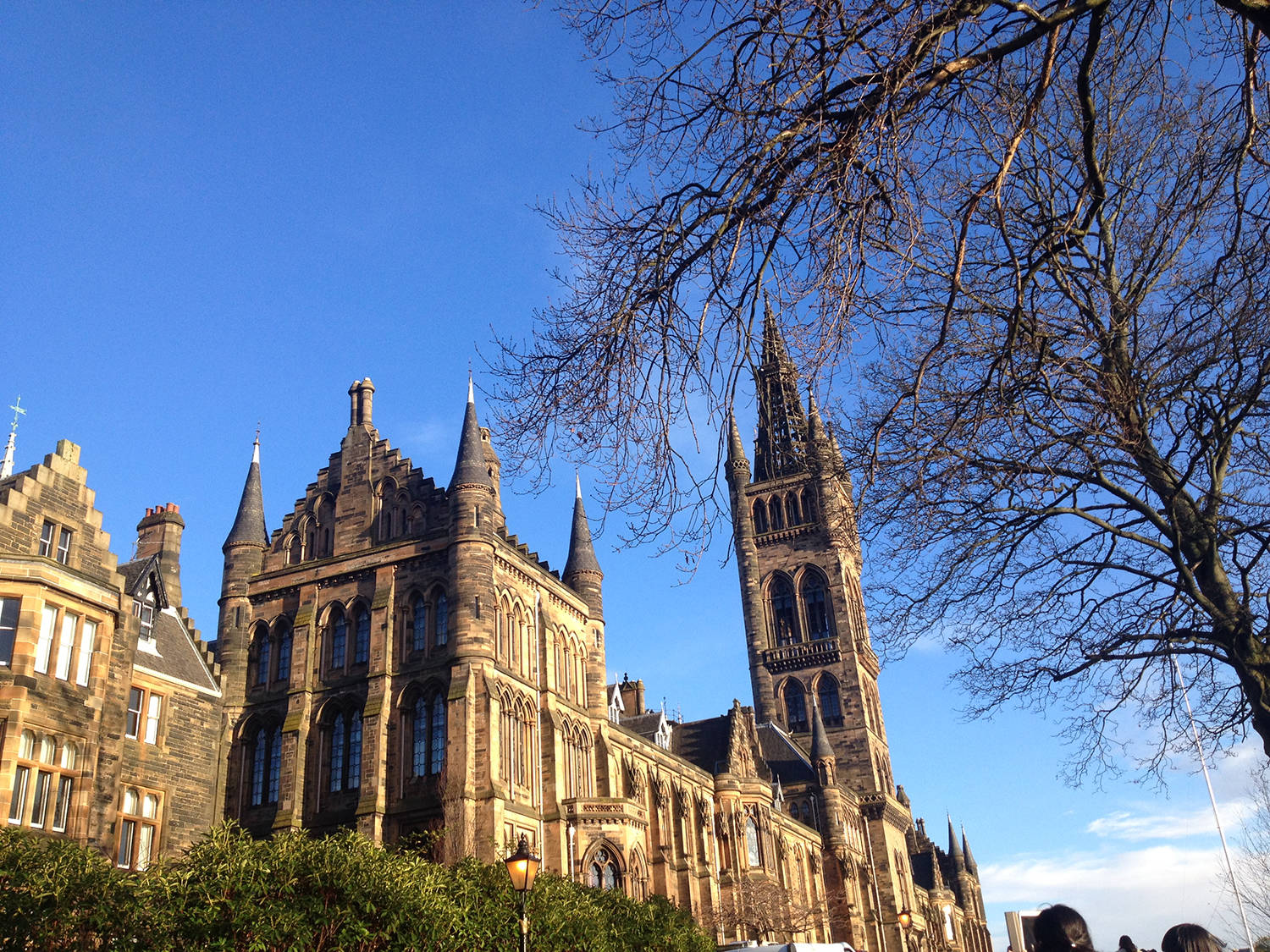 昆士兰大学下学期授课模式更新网课补助继续