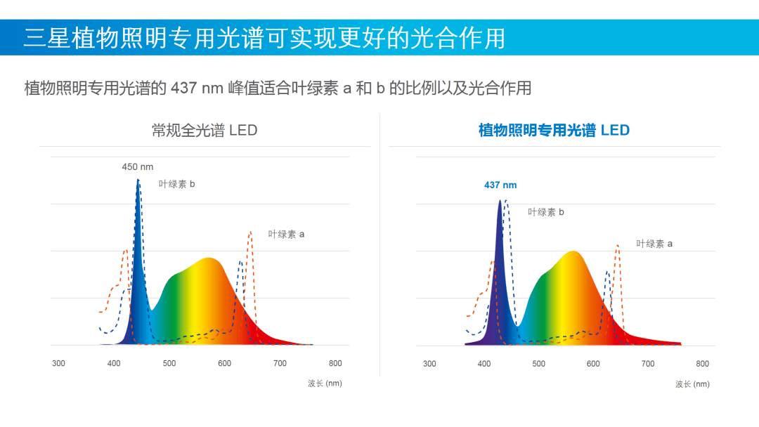 三星LED实现植物工厂种植生菜减排6%！_照明_光谱_节能