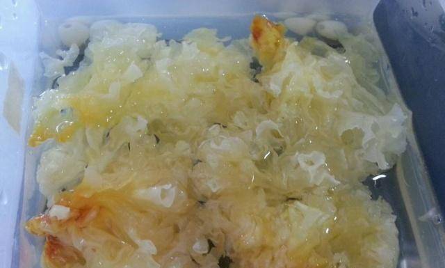 泡发银耳,一定做到这3点,不然会损失大量营养,熬煮时很难出胶_口感