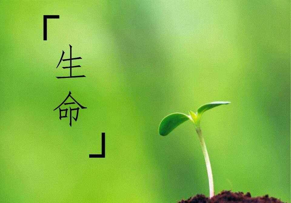 生命为什么最终都会走向终结?死亡或许并不像我们想象的那么可怕