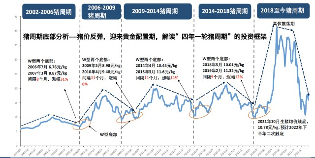 生猪价格七连涨本轮猪周期还未完全过去何来的新周期