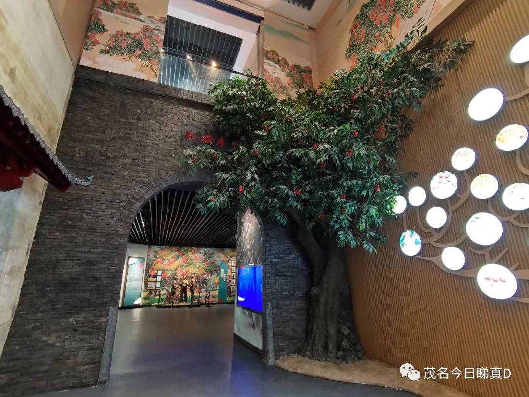 中国荔枝博览馆茂名又一高大上展馆来了