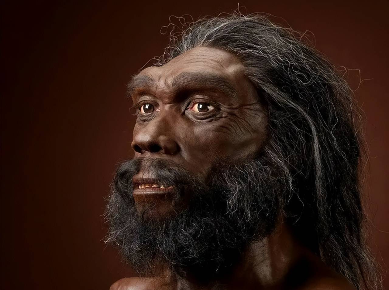 穿衣的本质与核心我们如何也说不通处于热带非洲的古猿需要增添衣服来