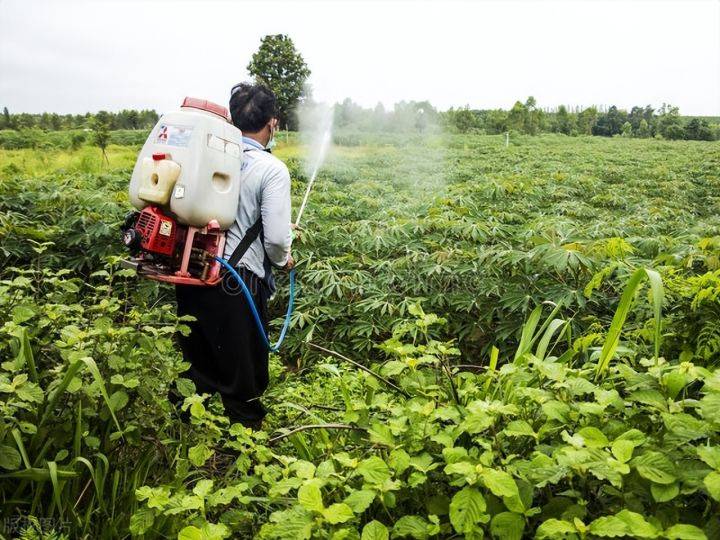 土壤_植物_除草劑