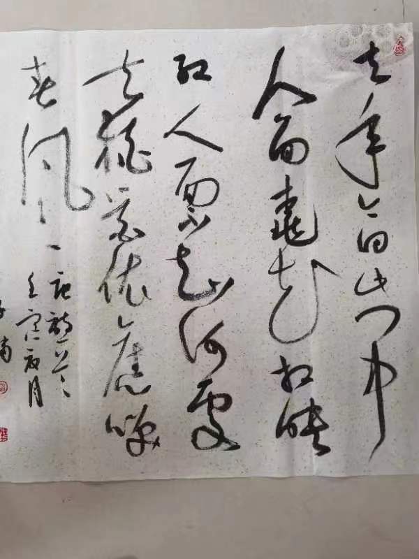 衡水市书画家丁志勇孙智勇夏金城乔惠明到深州采风活动