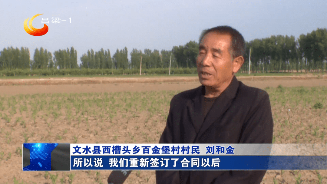 文水:用好"三查两处"法 守好"一亩三分地"_工作_合同_金堡