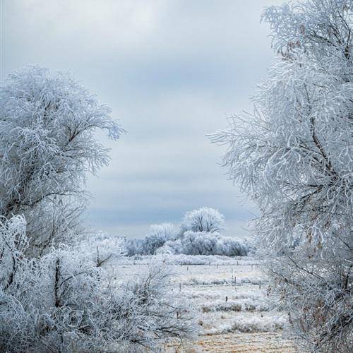 适合冬天用的微信头像唯美 冬季雪景色太合适了 唯美 头像 景色