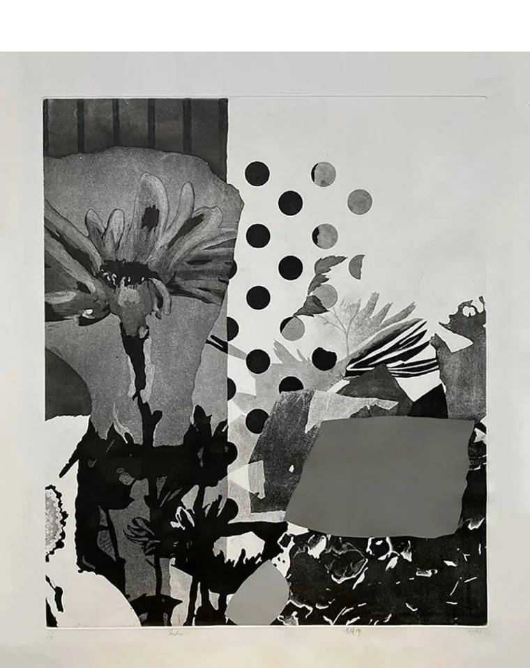 果识分享天津美术学院版画系2022届研究生毕业作品