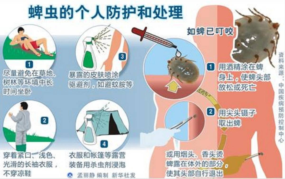 河南曾有3人因蜱虫病病逝