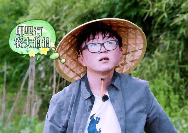 原创毛不易现身向往的生活最后一期为什么节目组会邀请他