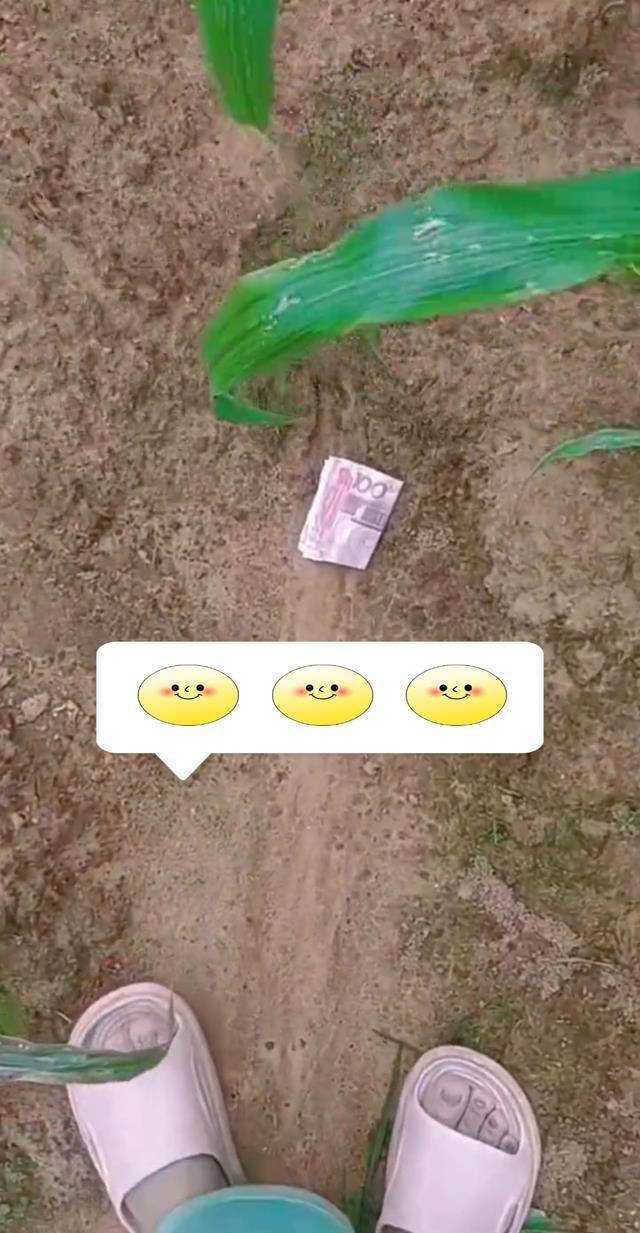 女子玉米地里除草意外捡到200元钱还发现了一男一女做的好事