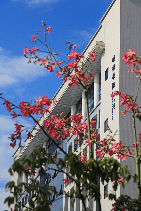 高质量3证书高职高考院校鉴赏惠州城市职业学院