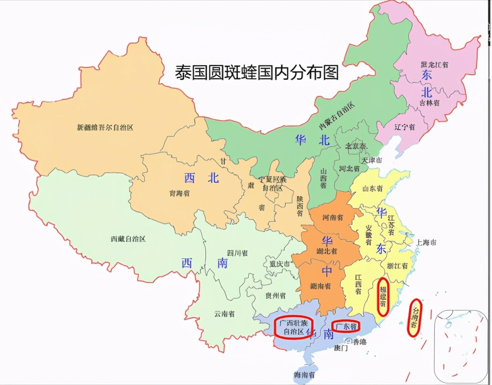 眼镜蛇_我国_银环蛇