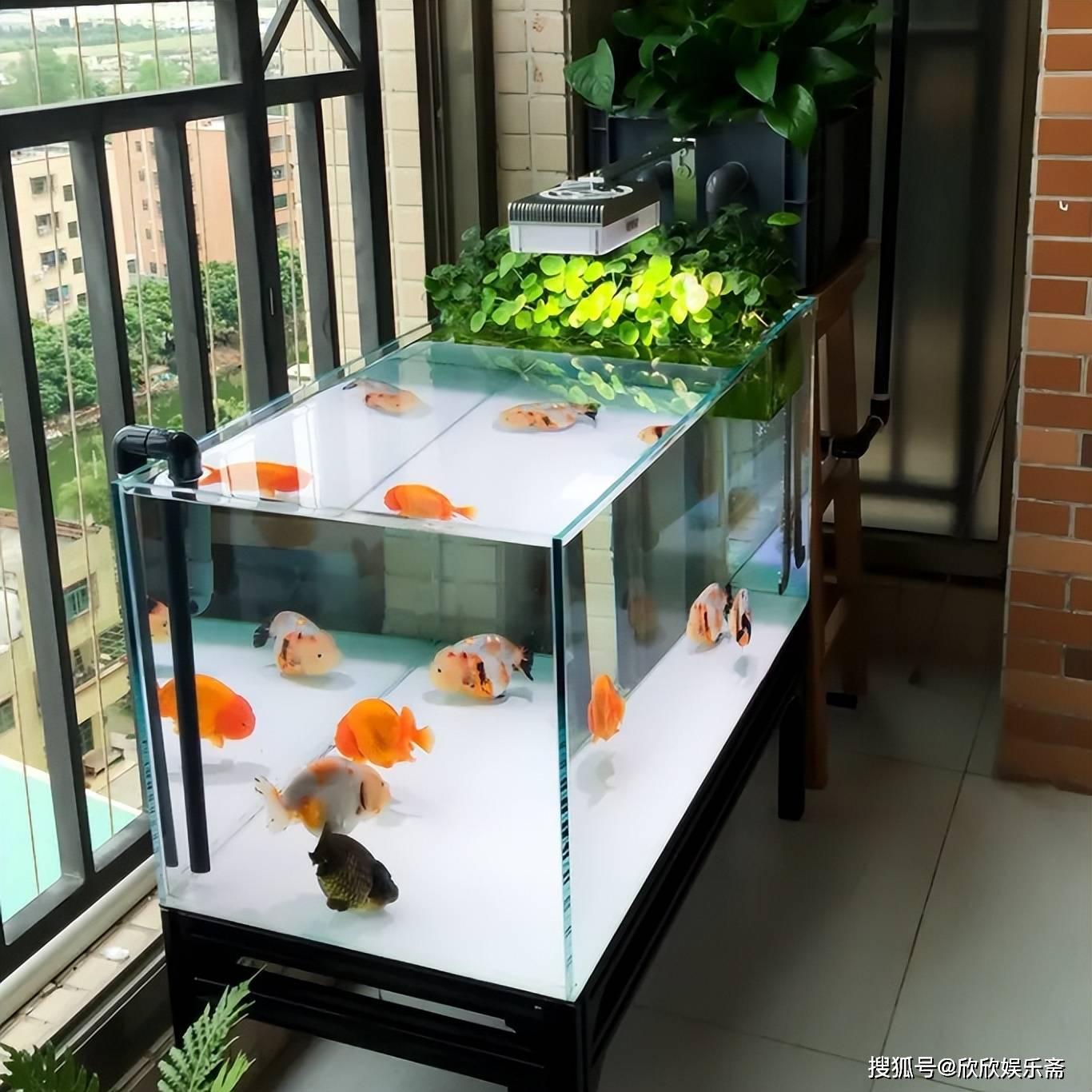 超白新款卧室客厅中型玻璃下过滤生态鱼缸免换水隔断中大型水族箱-阿里巴巴