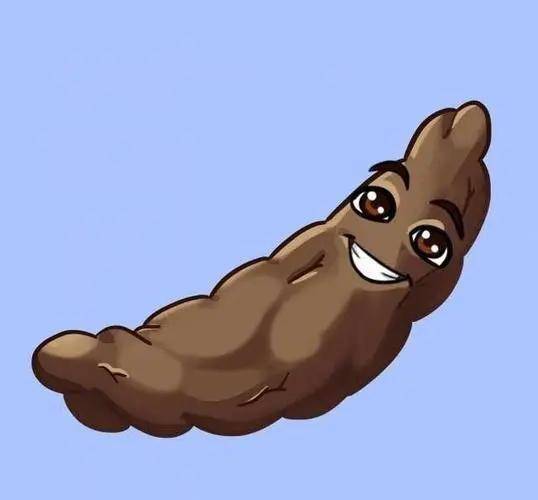 出现大便"前头干硬,后边软粘"要引起重视了,别大意_粪便_直肠_身体