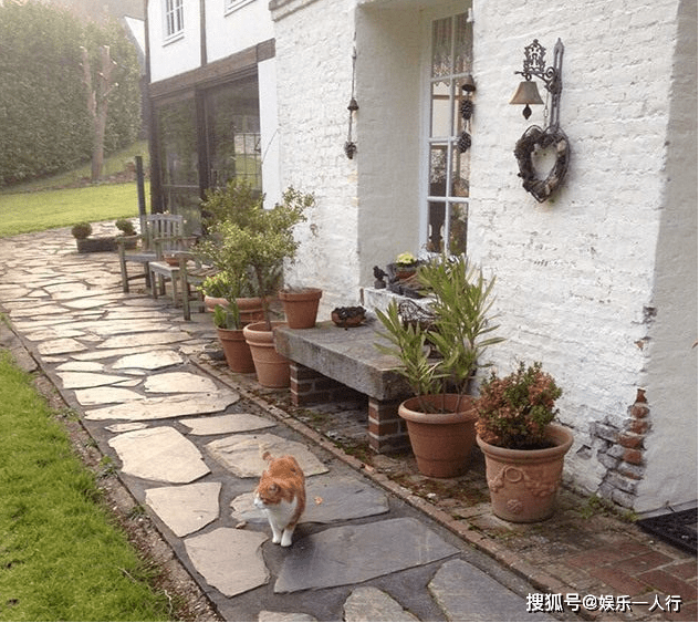 带你看看袁立住的豪宅,房子仿佛建造在世外桃源,吊顶设计很独特