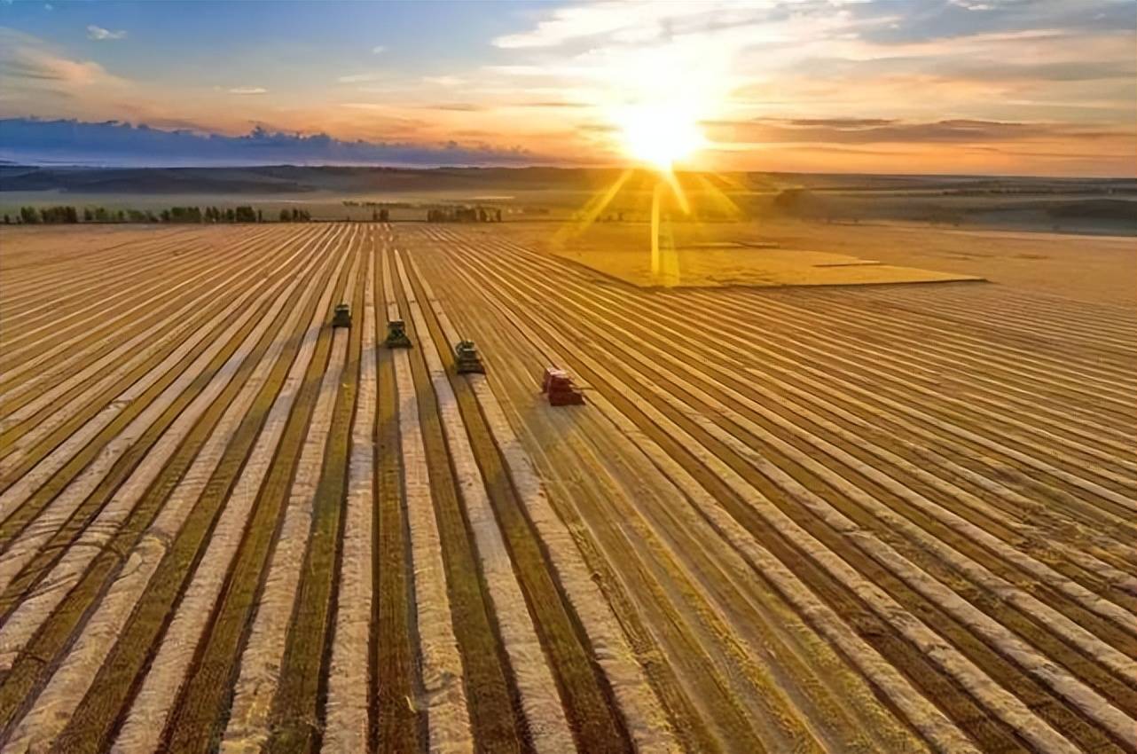 报告设施农业是农业现代化之一欧美英国大批种植者转向有机农业