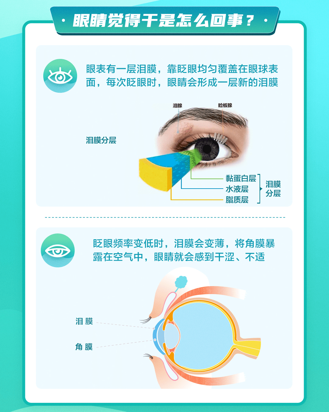 你知道你的眼睛为什么会干嘛