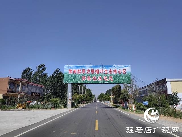 驻马店市泌阳县郭集镇:绿叶变"金叶"点"燃"乡村产业振兴_烟叶_领头雁