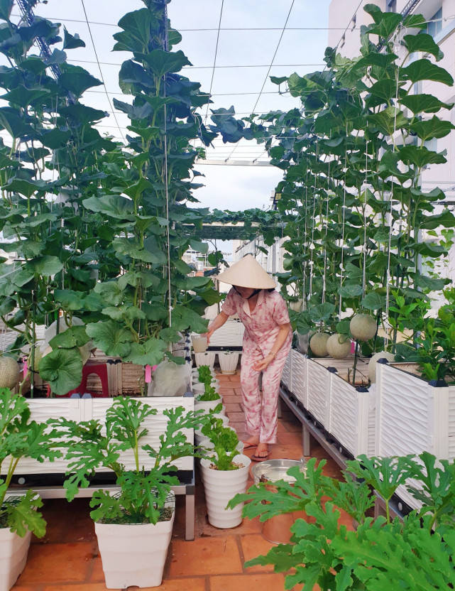 搬运3吨泥土到花园露台_种植_nghiem_tan