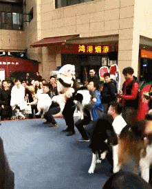 原创
原来照片本身不是重点,重点是楼上两人,这注定是他们永久的记忆