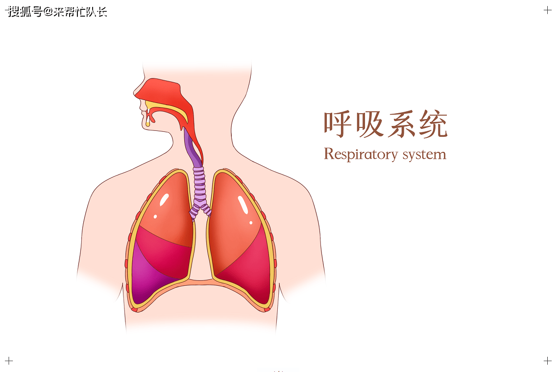 眼瞼下垂,全身無力……全身型重症肌無力還能治癒嗎?_患者_治療_生活