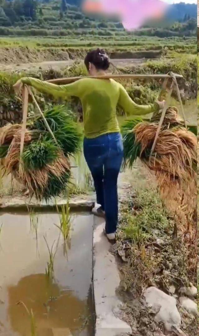 农妇干活图图片