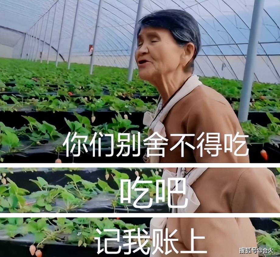 嫁什么豪门,不还是赚钱工具人?