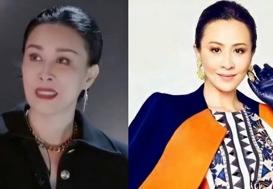 浪姐二公造型太有趣,那英称是丑版刘嘉玲,宁静惊喜撞脸小黄人_那英和
