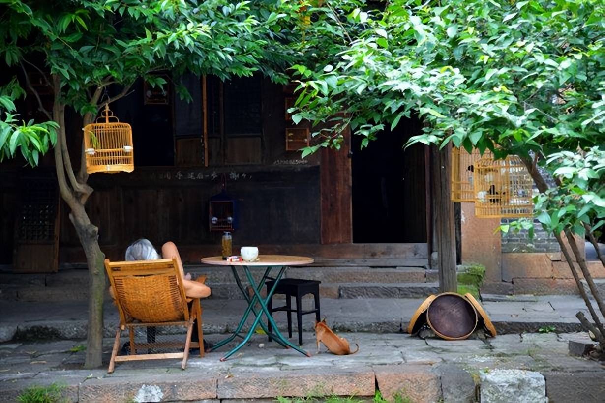 守一间小院闲坐摇扇听荷声盛夏微凉于此间