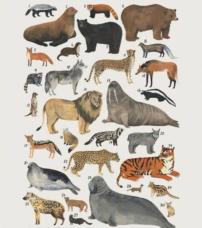 原创哪些动物能在气候变化中幸存下来