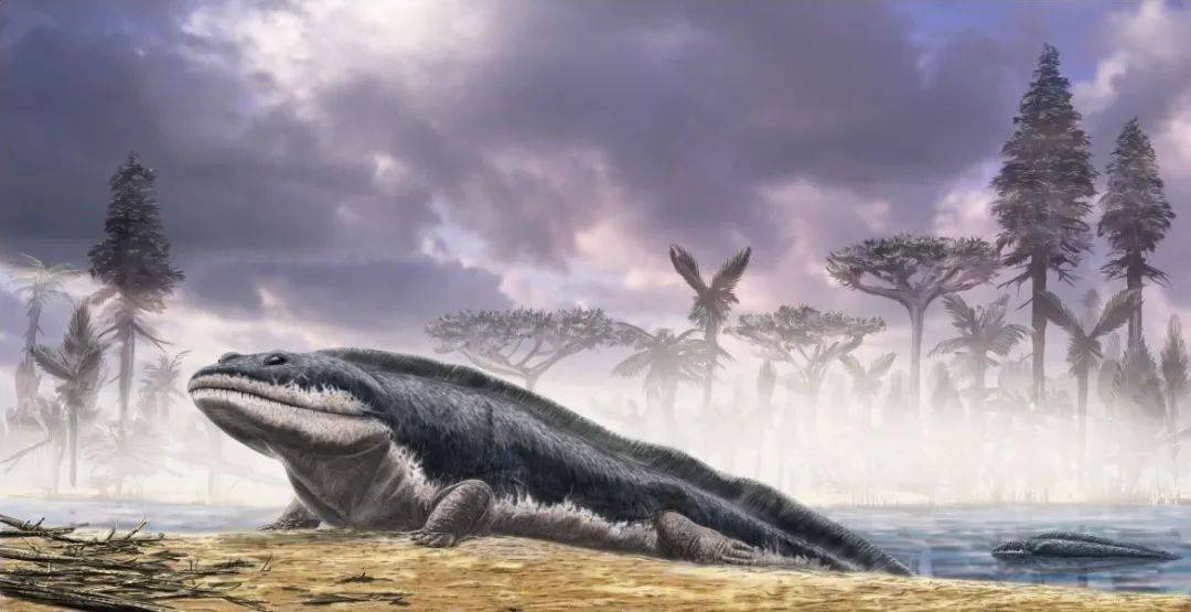 泥盆纪生态复原图经历了志留纪的灾后重建,时间来到了泥盆纪.