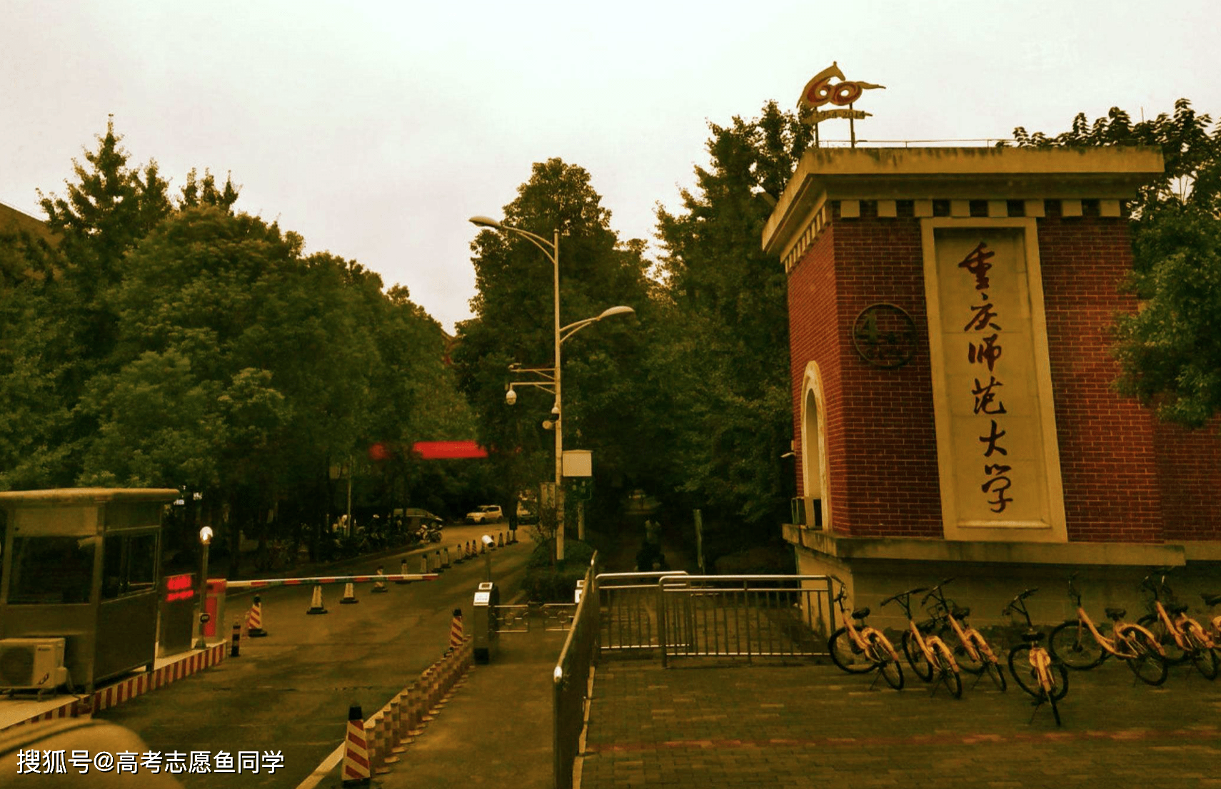 西南师范大学校门图片