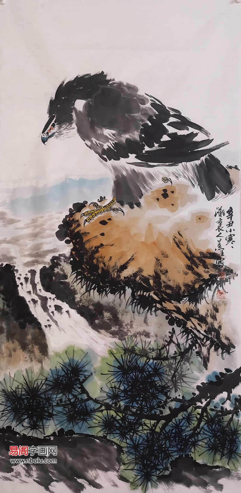 丁昱润画鹰:豪迈桀骜 生动逼真_鹰爪_雄鹰_松树