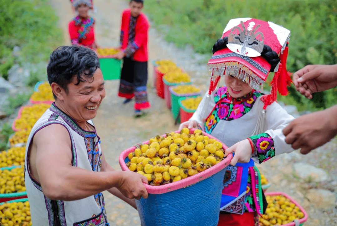 贵州带刺的梨，乃是世界水果之王