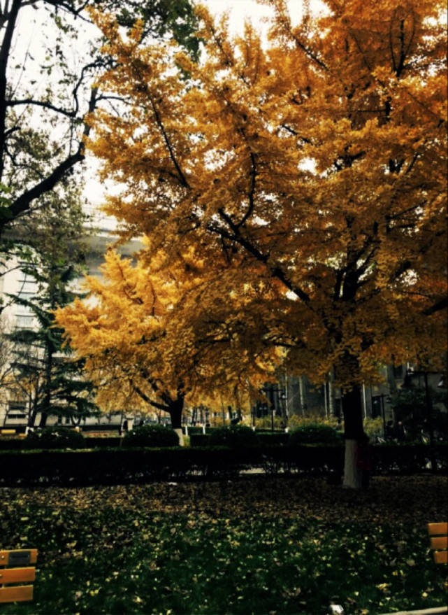 山西工商学院三本学费_山西工商学院三本学费_山西工商学院三本学费