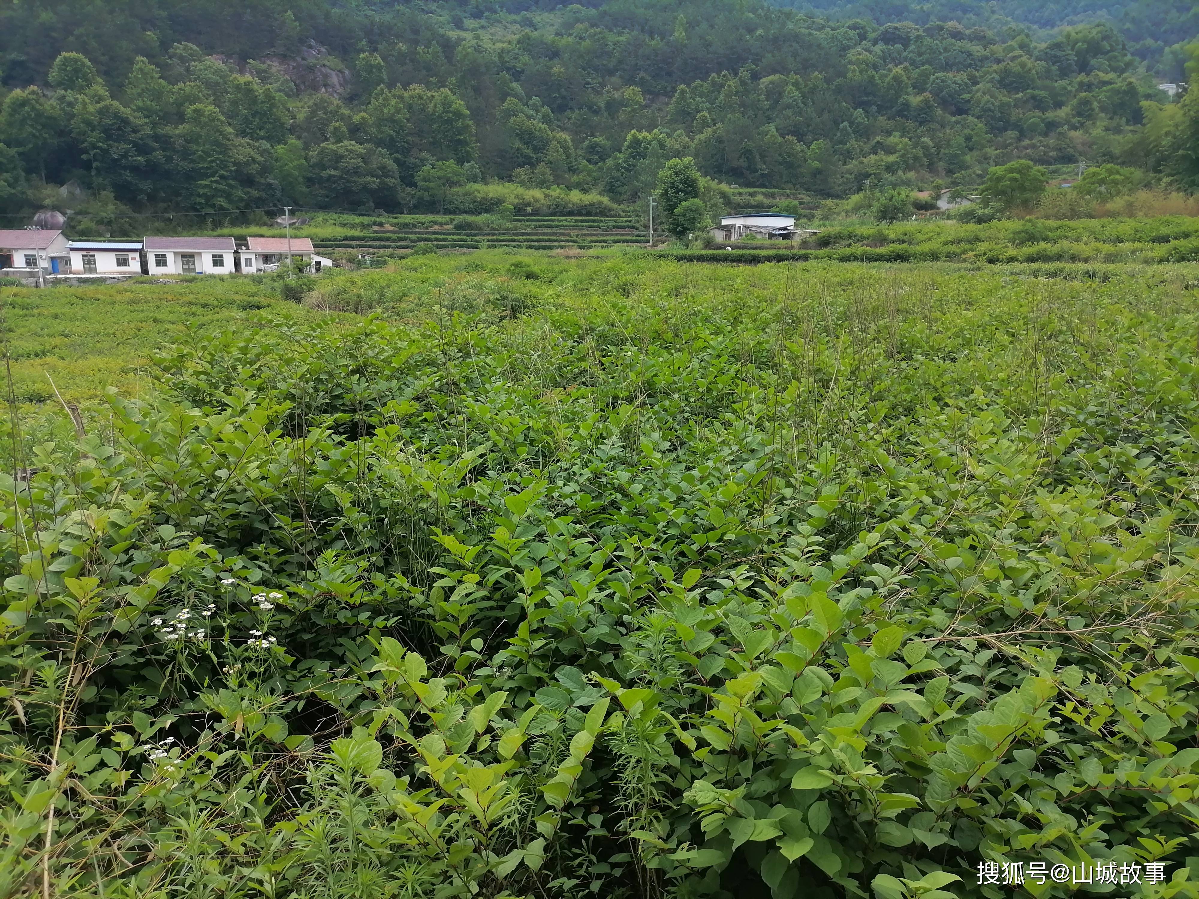 耐得住寂寞,才能深耕細耘成為冠軍.抵得往誘惑,才能保往生命的底蘊.