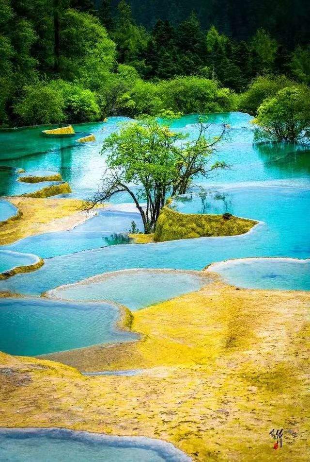 「黄龙」川西北人间绝色水景,美的让人心颤_九寨沟_变化_色彩