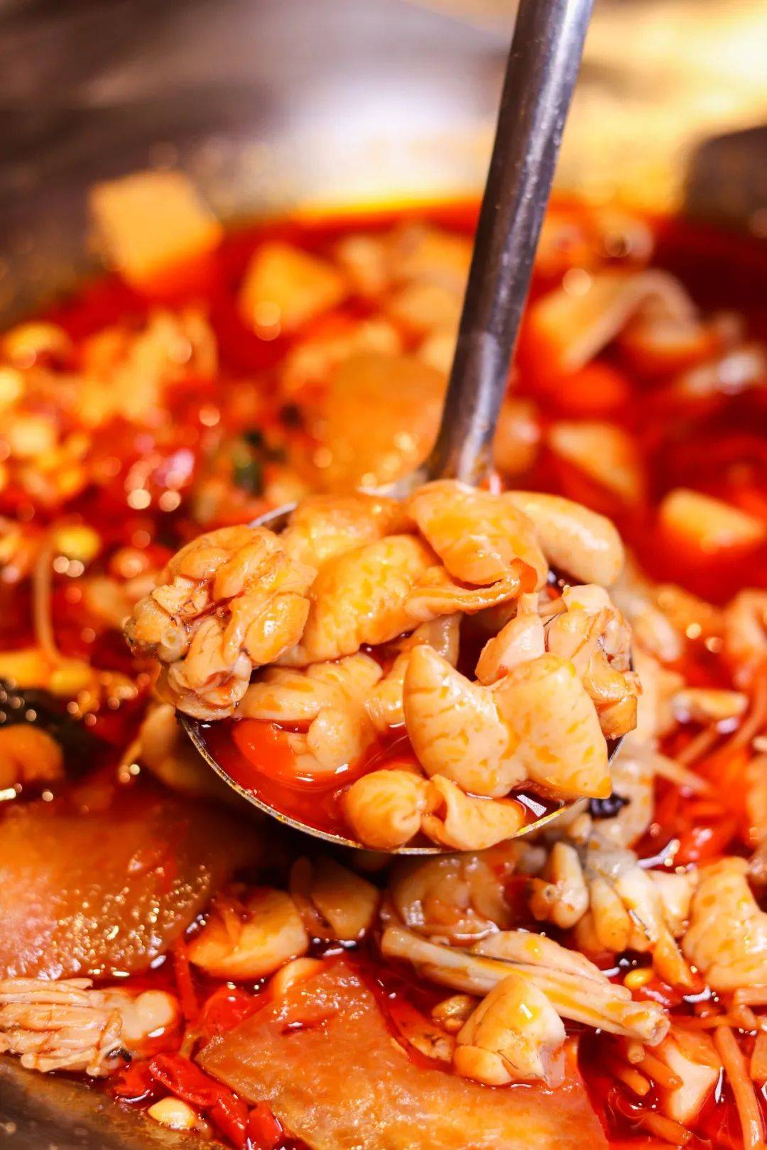 蛙肉_肥肠_金属风