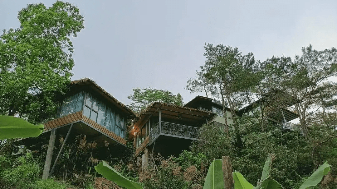 依山而建的18栋独立蝴蝶古民宿,有独立的小院,开放式厨房及私人温泉泡