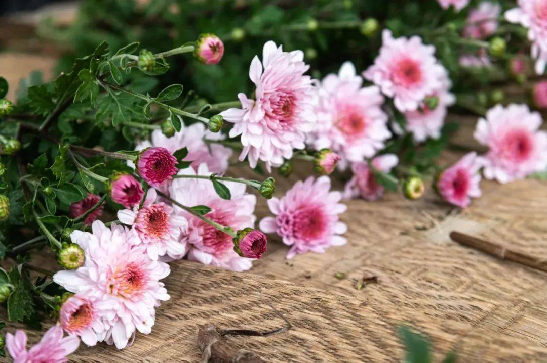 八成互联网电视非法采集用户数据,彩电企业怎么办?-家电圈官网