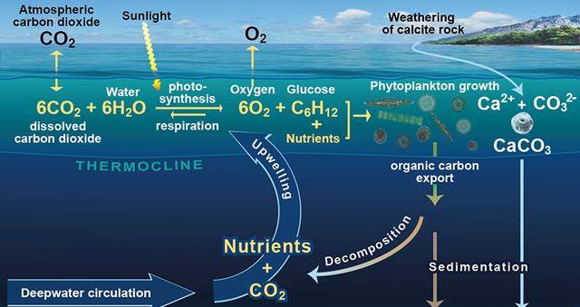 全球變暖愈發嚴重科學家或在2100年海洋生物將面臨滅絕