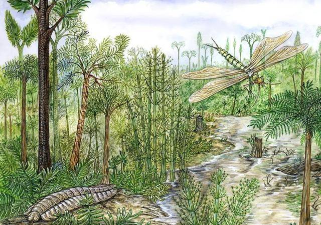 首先是晚古生代的石炭纪,有着温暖,湿润的气候以及遍地的沼泽,植物