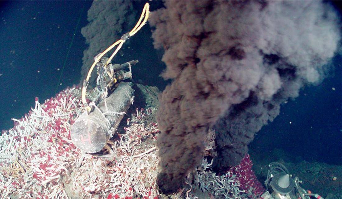 原创海底450煮不熟的大虾被地面100的水征服最好不要吃