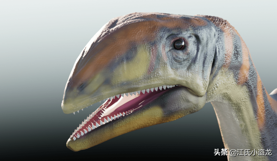 巴西赤猎龙属名:erythrovenator模式种名:雅库伊赤猎龙(erythro