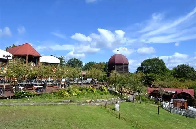 mokumoku农场:历史背景1987年,mokumoku农场创始人木村