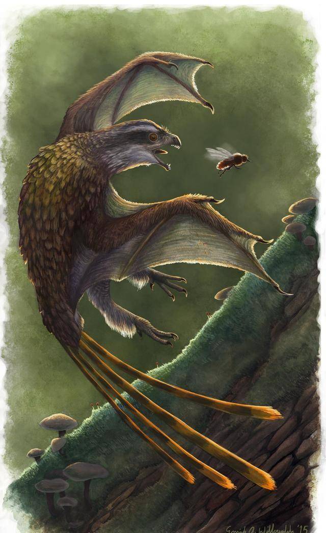 恐龙中的蝙蝠侠长臂浑元龙